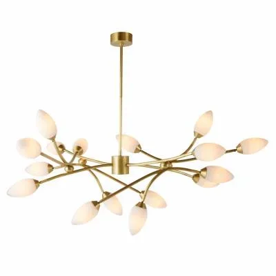 16 Light Chandelier2698179