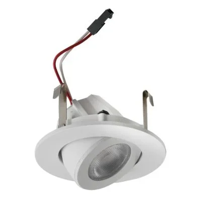 2″ Adjstbl LED Gimbal 800Lmn Ssd2095684