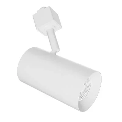 2″ Trk Hd 1150Lm 2700K 38Deg Bm2666804