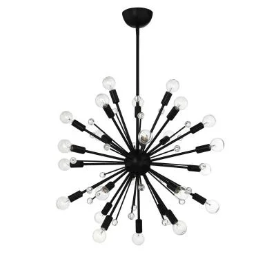 24 Light Chandelier2200041