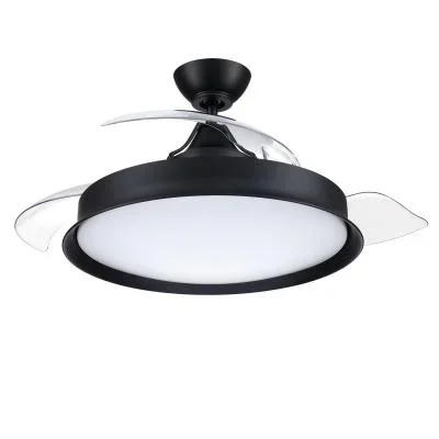 42″ Ceiling Fan2588356