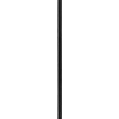 Accessory Stem4856688