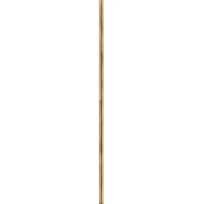 Accessory Stem6126251