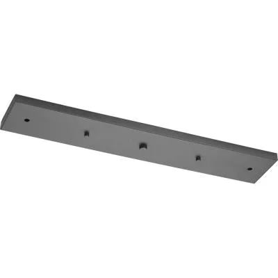 Canopy050174