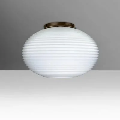 Ceiling Mount2401189