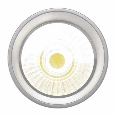 Ceiling Mount2694475