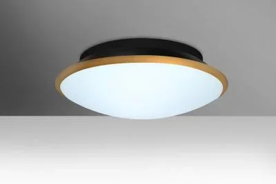 Ceiling Mount3365791