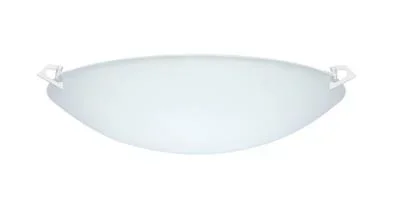 Ceiling Mount413439