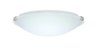 Ceiling Mount505973