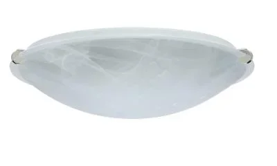 Ceiling Mount626796