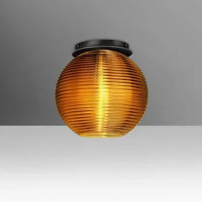 Ceiling Mount8018458