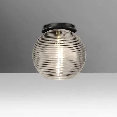 Ceiling Mount8018476