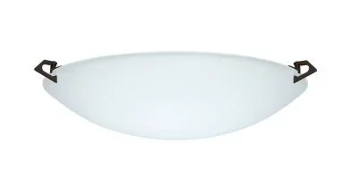 Ceiling Mount847867