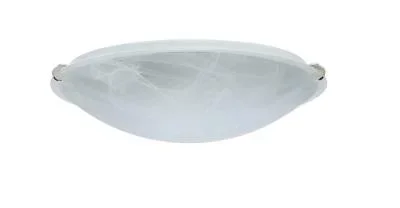 Ceiling Mount848633