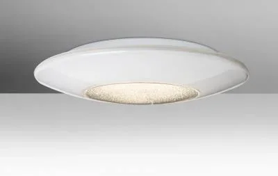 Ceiling Mount887938