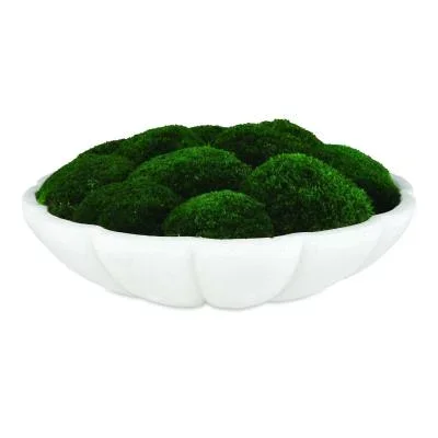Centerpiece8182886