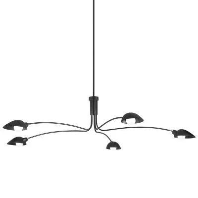 Five Light Chandelier6717777