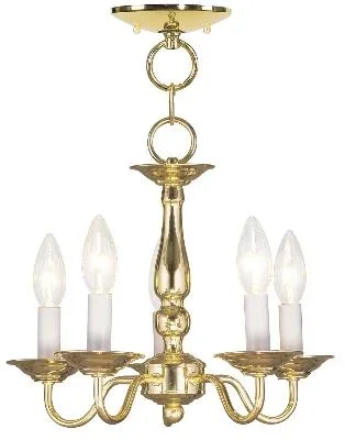 Five Light Mini Chandelier/Ceiling Mount635875