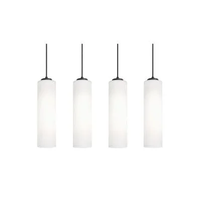 Four Light Linear Pendant6246404
