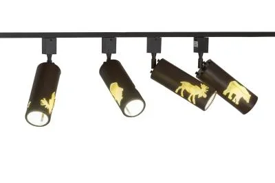 Four Light Track Lighting664459