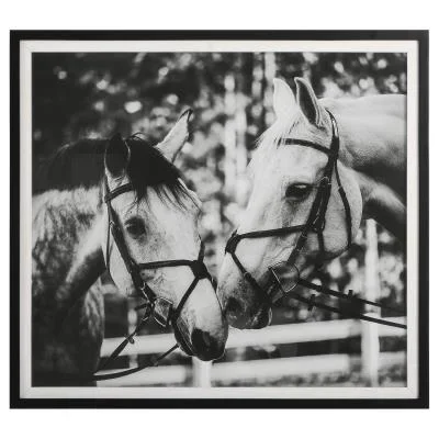 Framed Print3763067