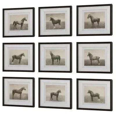 Framed Prints, S/99893097