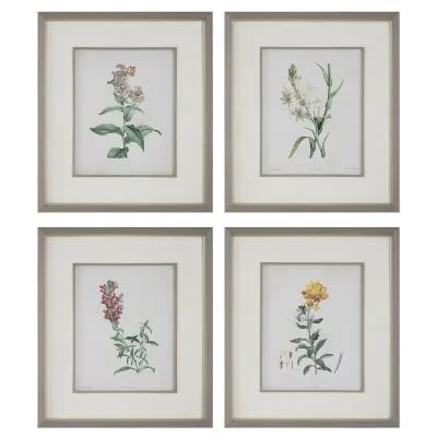 Framed Prints Set/44660791