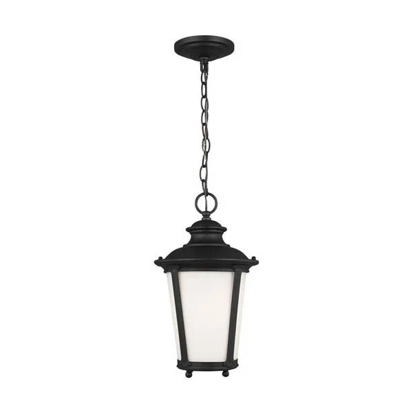 Generation Lighting 62240 One Light Outdoor Pendant