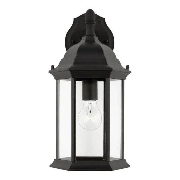 Generation Lighting 8938701 Medium One Light Downlight Outdoor Wall Lantern