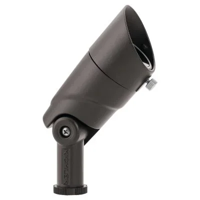 LED Accent010293