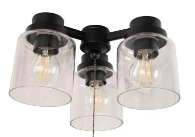 LED Ceiling Fan Light Kit8813090