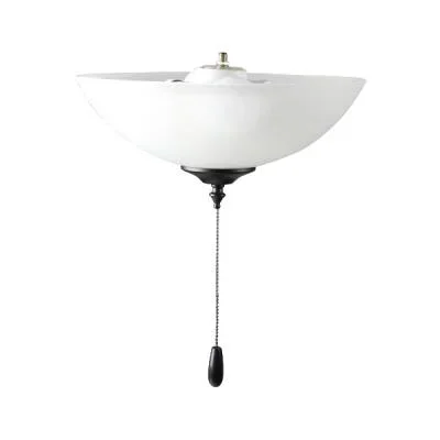 LED Ceiling Fan Light Kit8973162