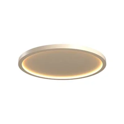 LED Ceiling Mount2371043