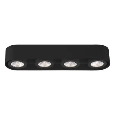 LED Ceiling Mount2513813