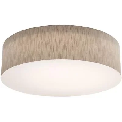 LED Ceiling Mount2623367