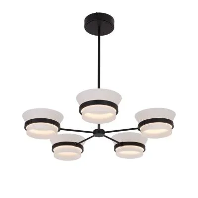 LED Chandelier6171528