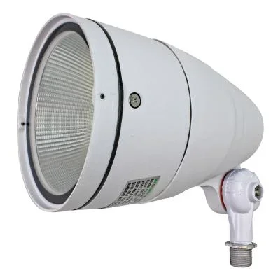 LED Directional Light869367