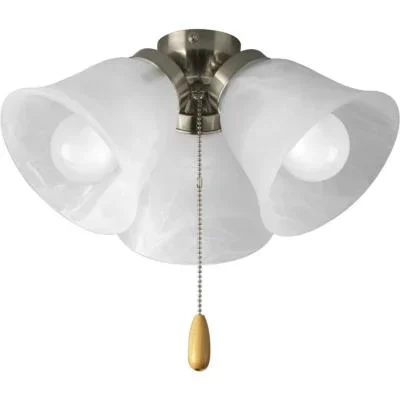 LED Fan Light Kit050222