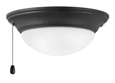 LED Fan Light Kit2110134