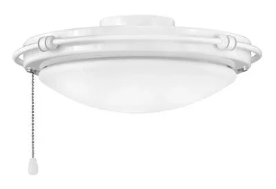 LED Fan Light Kit2110138