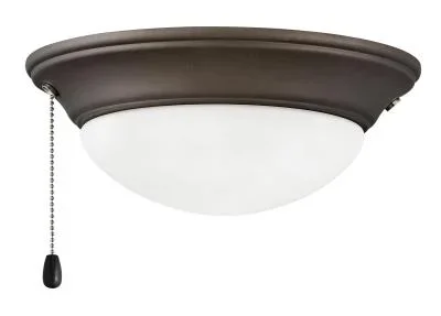 LED Fan Light Kit2110139