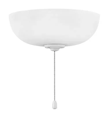 LED Fan Light Kit2110140