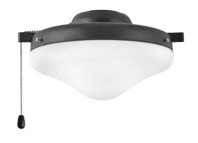 LED Fan Light Kit3116161