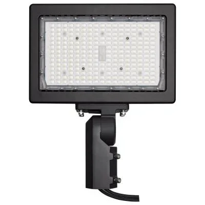 LED Flood Light2658803
