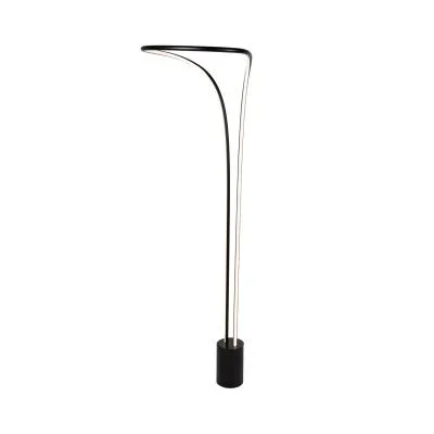 LED Floor Lamp2250126