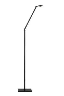 LED Floor Lamp258444