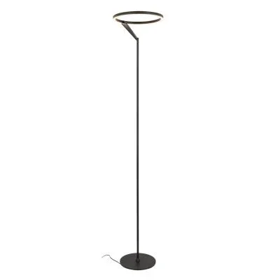 LED Floor Lamp2986519