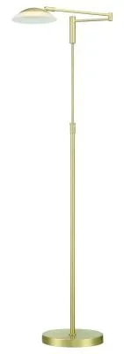 LED Floor Lamp667555