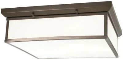 LED Flush Mount719502
