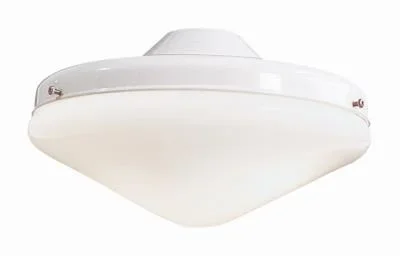 LED Light Kit for Ceiling Fan4251601